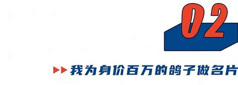 奖金上亿的赛鸽江湖 ：身价一千万的鸽子长啥样？界面新闻 · 中国