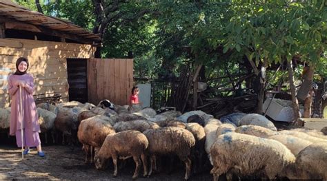 Boyabat ta Uzman Eller Projesi Boyabat Manşet Halkın İradesi