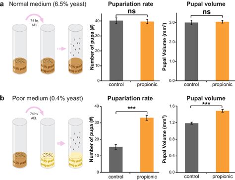 Propionic Acid In The Culture Medium Improves Larval Survival And Download Scientific Diagram