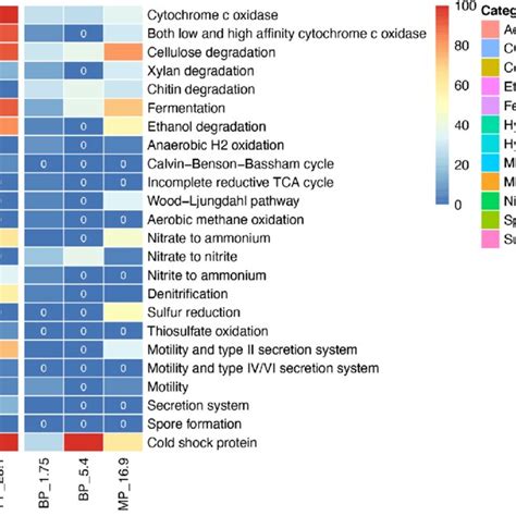 Heatmap Showing The Total Relative Abundance Of Mags Containing Genes Download Scientific