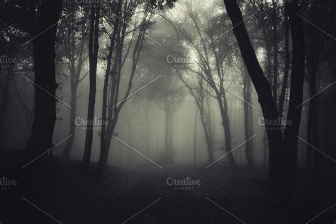 Dark Forest Ghost Banner Background Sponsored Sponsored Surreal