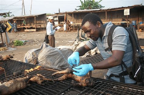 Bushmeat Trade Grows With Economic Prosperity