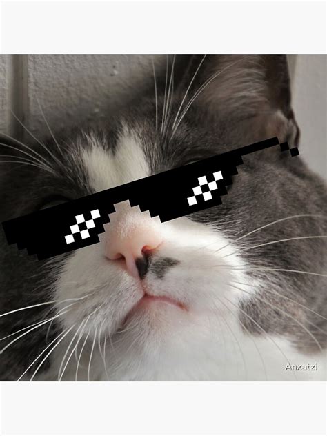 "Cat with shades- Cool Meme" Poster for Sale by Anxatzi | Redbubble