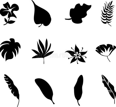 Set Of Black Silhouettes Of Tropical Leaves Palm Trees Plants Vector