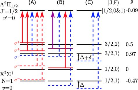 Figure From High Density Loading And Collisional Loss Of Laser Cooled