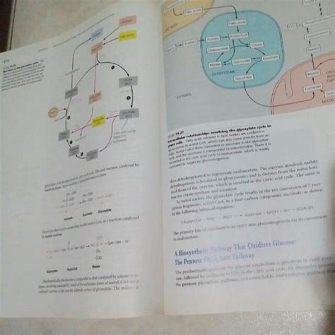 BS1005 Biochemistry 1 3rd Edition By Matthews Van Holde Ahern