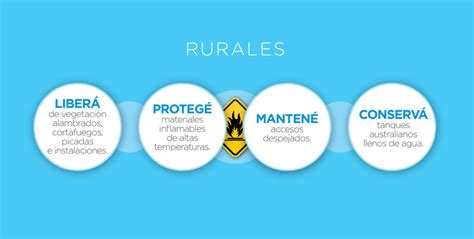 Recomendaciones Para Prevenir Incendios Forestales Red Sostenible