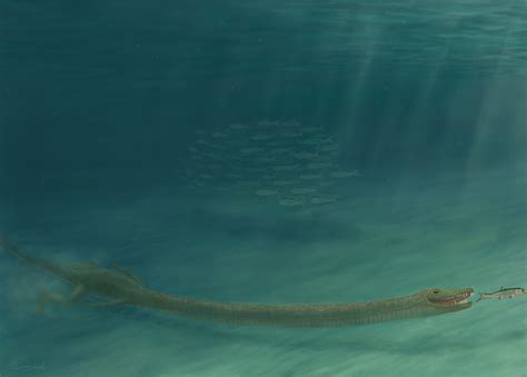 Weird 'broomstick' necked Triassic reptile named after mythical Greek ...