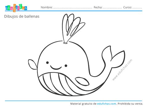 Ballena Unicornio Kawaii Para Colorear