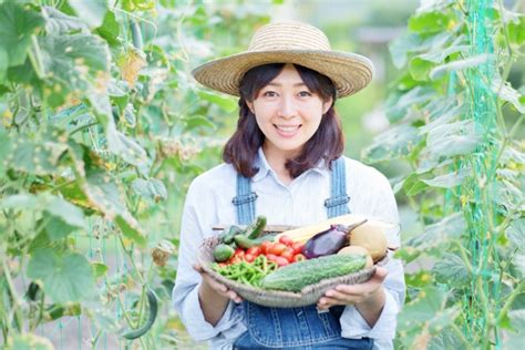 農業を始めるなら絶対に押さえておきたいビニールハウス栽培の魅力！儲かる野菜ベスト5も！ みんなで農家さん