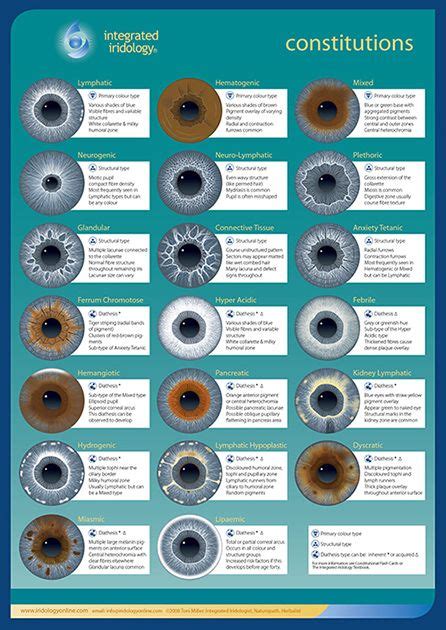 15 best images about Iris patterns / Iridology on Pinterest