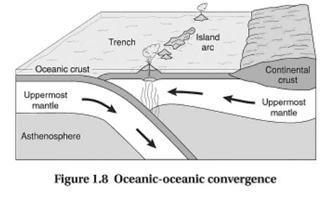 Unit 1 Chapter 1 - AP Environmental Science