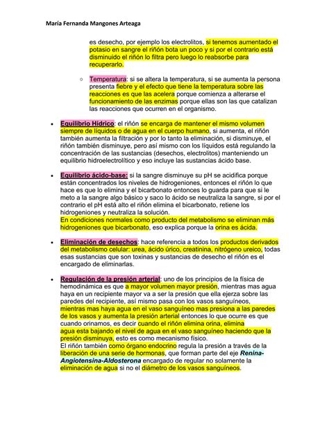 SOLUTION 1 Anatom A Del Ri N Y V As Urinarias 1 Anatomy Of The Kidney