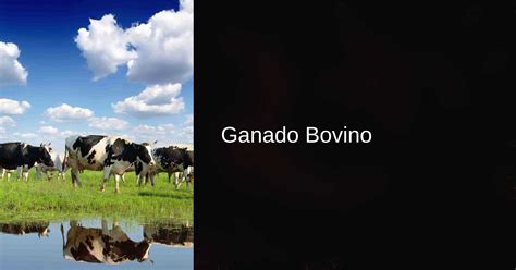 Ganado Bovino