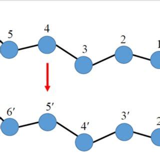 | Schematic illustration of the reptation (slithering-snake) Monte... | Download Scientific Diagram