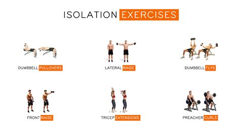 Compound Workout Vs Isolation Workout Which One Is Better Gympik Blog