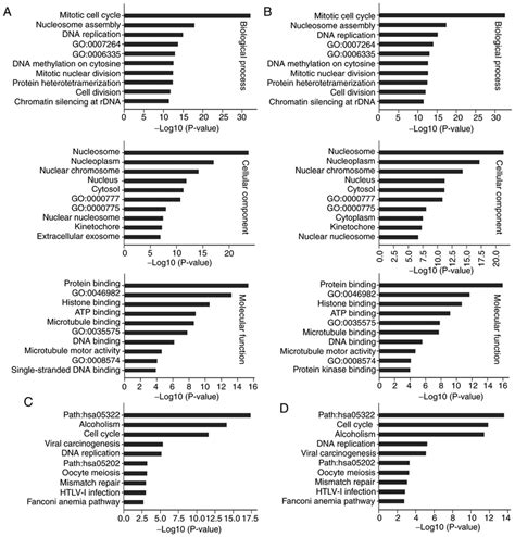 Functional Enrichment Analysis Of Components Of The Download