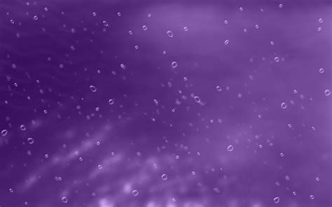 Violet wallpaper 2560x1600