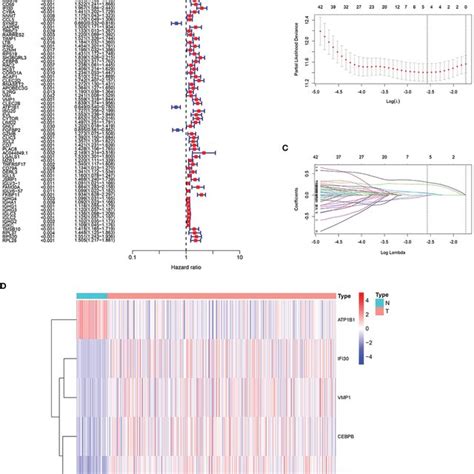 Construction Of The Prognostic Model A We Succeeded In Obtaining 66