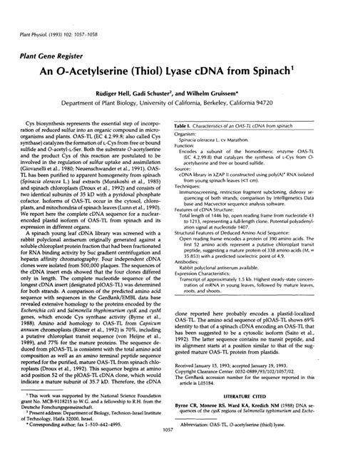 PDF An O Acetylserine Thiol Lyase CDNA From Spinach