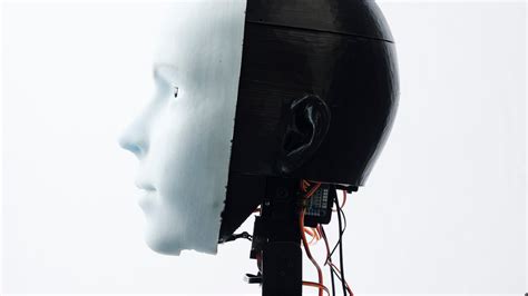 ‘consciousness In Robots Was Once Taboo Now Its The Last Word The New York Times