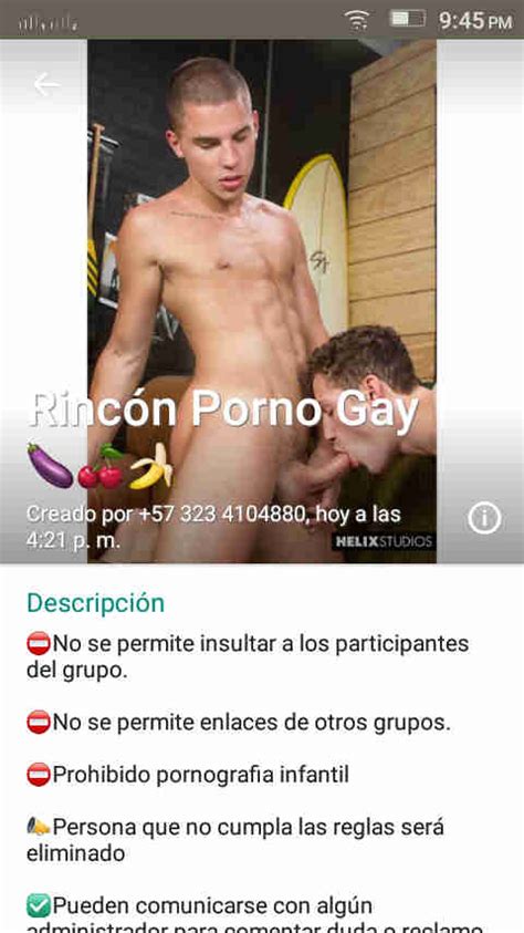 Grupos GAY De WhatsApp 3 GAY Groups In WhatsApp Guia GAY Colombia