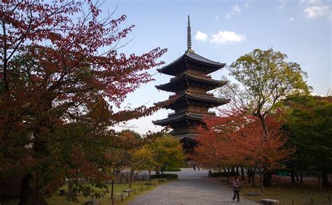 Toji Temple - Japan Airlines