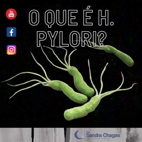 O que é o H Pylori como se pega e como tratar o H Pylori Dra