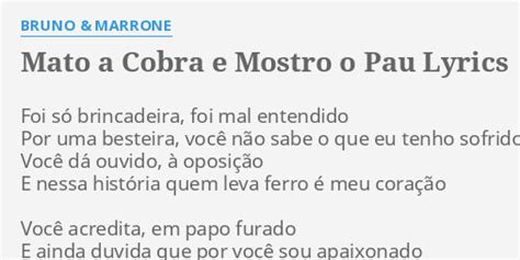 Mato A Cobra E Mostro O Pau Lyrics By Bruno Marrone Foi S