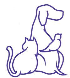 Bikini Waterpark Girls Yo Fm IMGSRC RU REPACK