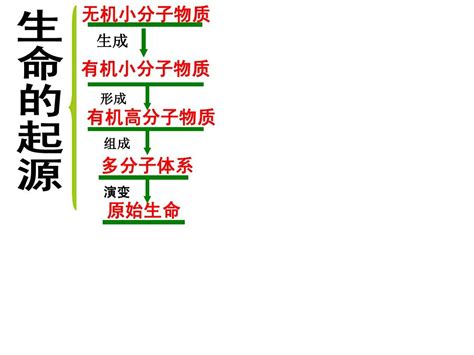 2015年新人教版八年级生物下册第七单元 第三章 第二节 生物进化的历程 课件word文档在线阅读与下载无忧文档