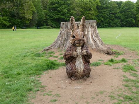 Peter Rabbit Ayr Billy McCrorie Geograph Britain And Ireland