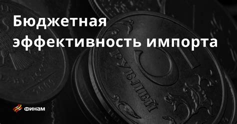 Бюджетная эффективность импорта основные понятия и термины что это такое простыми словами