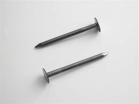 ЖИТИ АД - ГВОЗДЕИ