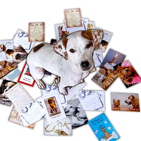 Wholesale Dog Cards & Greetings for all Pet Occasions | Dog Speak Cards ...