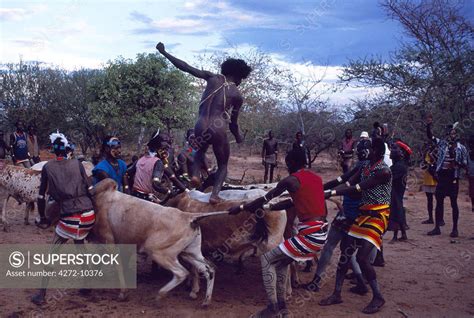 At The Culmination Of A Hamar Bull Jumping Ceremony The Rite Of