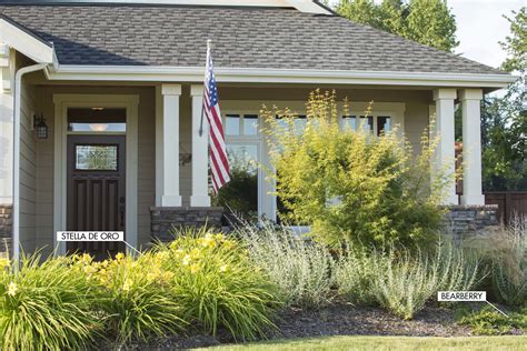 Ornamental Grasses Of Puget Sound Nursery Blog — Ornamental Grasses