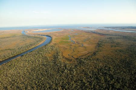 apalachicola_river - Tallahassee Magazine