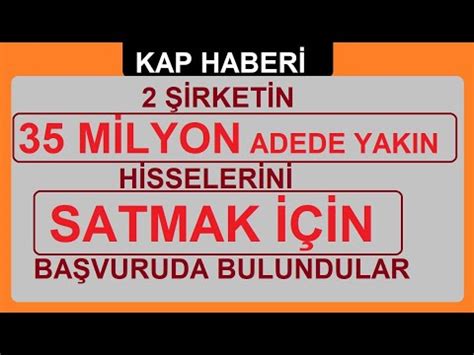 2 ŞİRKETİN 35 MİLYON ADEDE YAKIN HİSSELERİNİ SATMAK İÇİN BAŞVURUDA