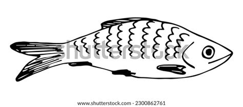 Simple Black Outline Vector Drawing Fish 库存矢量图免版税2300862761