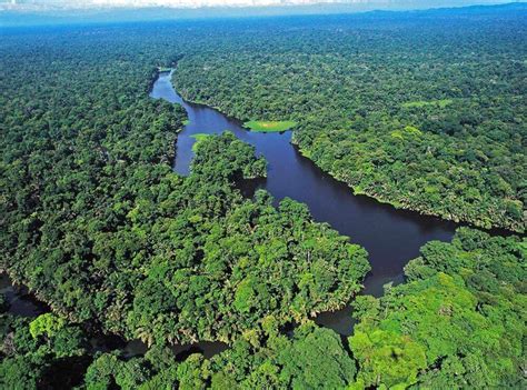 Parque Nacional Tortuguero Limón Costa Rica Qué Ver Y Hacer