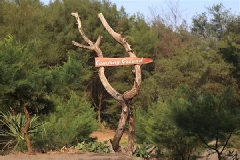 Menjelajahi Surga Tersembunyi Di Pantai Cangkring Jogja Cocok Untuk