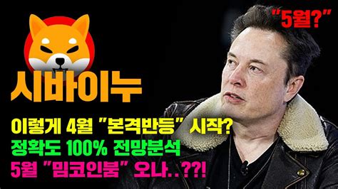 시바이누 긴급 5월 밈코인붐 예고편 정확도 100 전망분석 지금부터 집중 코인시황 Youtube