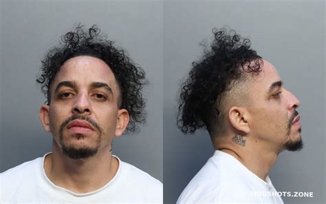 Valdes Camacho Sandi Miami Dade County Mugshots Zone