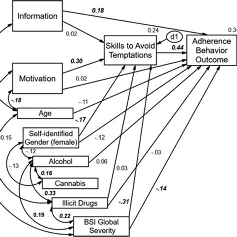 Structural Equation Model Results Showing Standardized Path