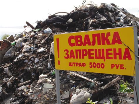 Проблема несанкционированных свалок мусора в России