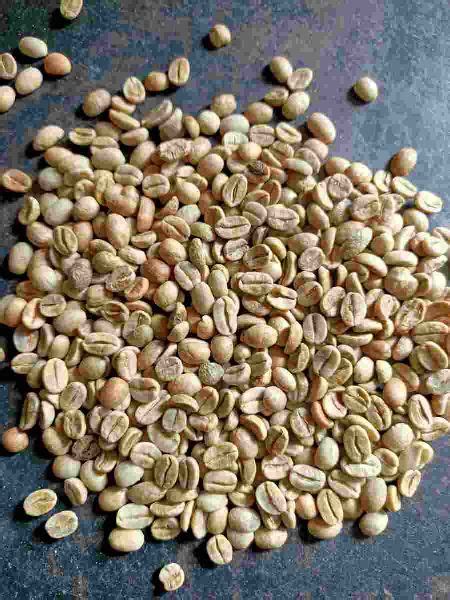 Common Unwashed Arabica Coffee Beans Purity At Best Price In