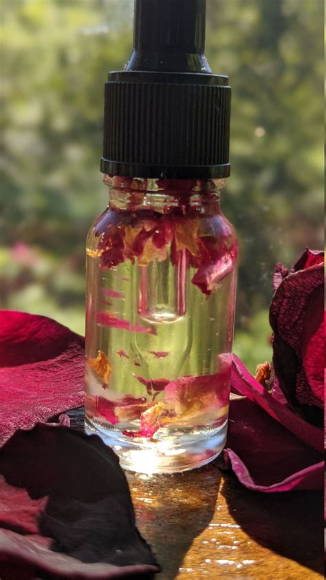 Rose Infused Oil Goddess Oil Spell Ingredient Rose Oil Etsy