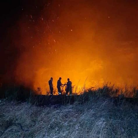 Incendi Oltre Mila Interventi Contro I Piromani Dell Estate