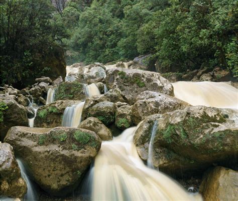 Registrations Open For Th Apngbc Annual Forum Australia Papua New